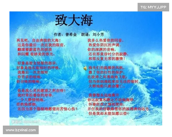 冰心诗文情感深度与文学价值的全面探析与审视