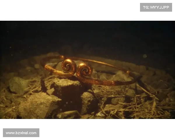 《黑神话悟空可探索地图数量揭秘及其开放世界设计特点分析》