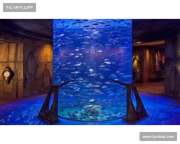 探索失落水下王国揭秘人鱼传说与海底秘境的奇幻旅程 探索失落水下王国揭秘人鱼传说与海底秘境的奇幻旅程