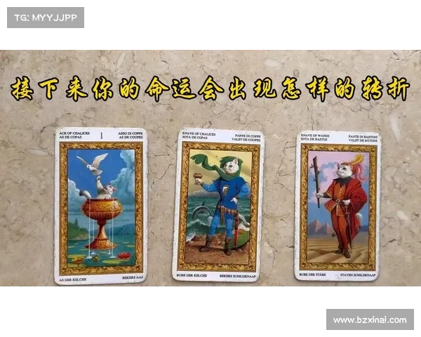 以瓦尔迪关键角色揭示故事命运转折与人物成长深度全景视野展开图